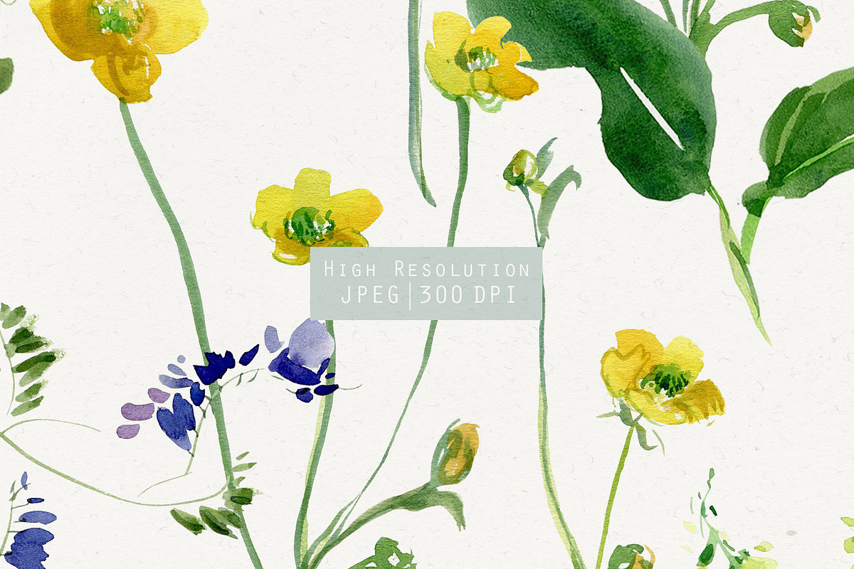 Summer Feel. Watercolor Set, a Pattern Graphic by Irina Dolgikh (Photo 9 of 16)
