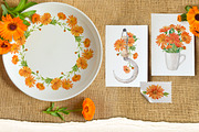 Solar Calendula. Watercolor set, an Illustration by Tata Pilip (Thumbnail 5 of 7)