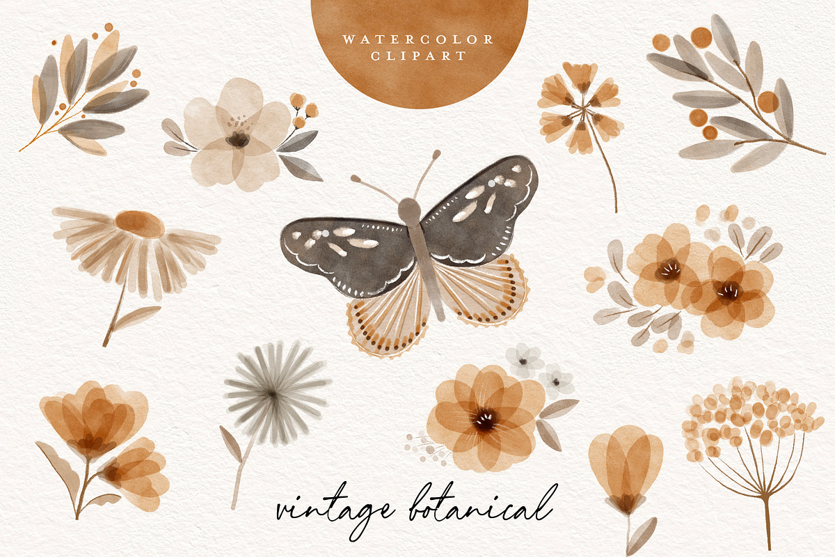 Watercolor Vintage Botanical Clipart, an Illustration by beatriceviyiwi (Photo 3 of 6)