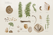 Dinosaur Skeletons Clip Art, an Illustration by Alena Sid (Thumbnail 4 of 13)