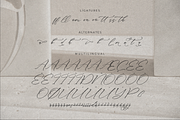 Classthy Theriond Chic Calligraphy, a Script Font by Storytype Studio (Thumbnail 14 of 15)