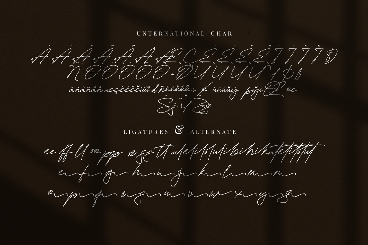 Brittney Signature Business Font, a Script Font by KennedyStudio (Photo 9 of 11)