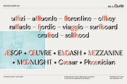 Buona Display Font Family, a Sans Serif Font by IRL by Outfit (Thumbnail 5 of 11)