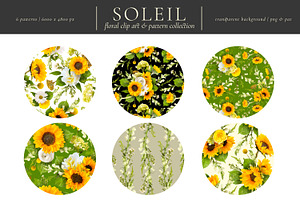 Soleil Floral Patterns & Clip Art