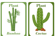 Plants Flash Cards For Kids, a Card Template by DigitalsDesigns (Thumbnail 2 of 4)