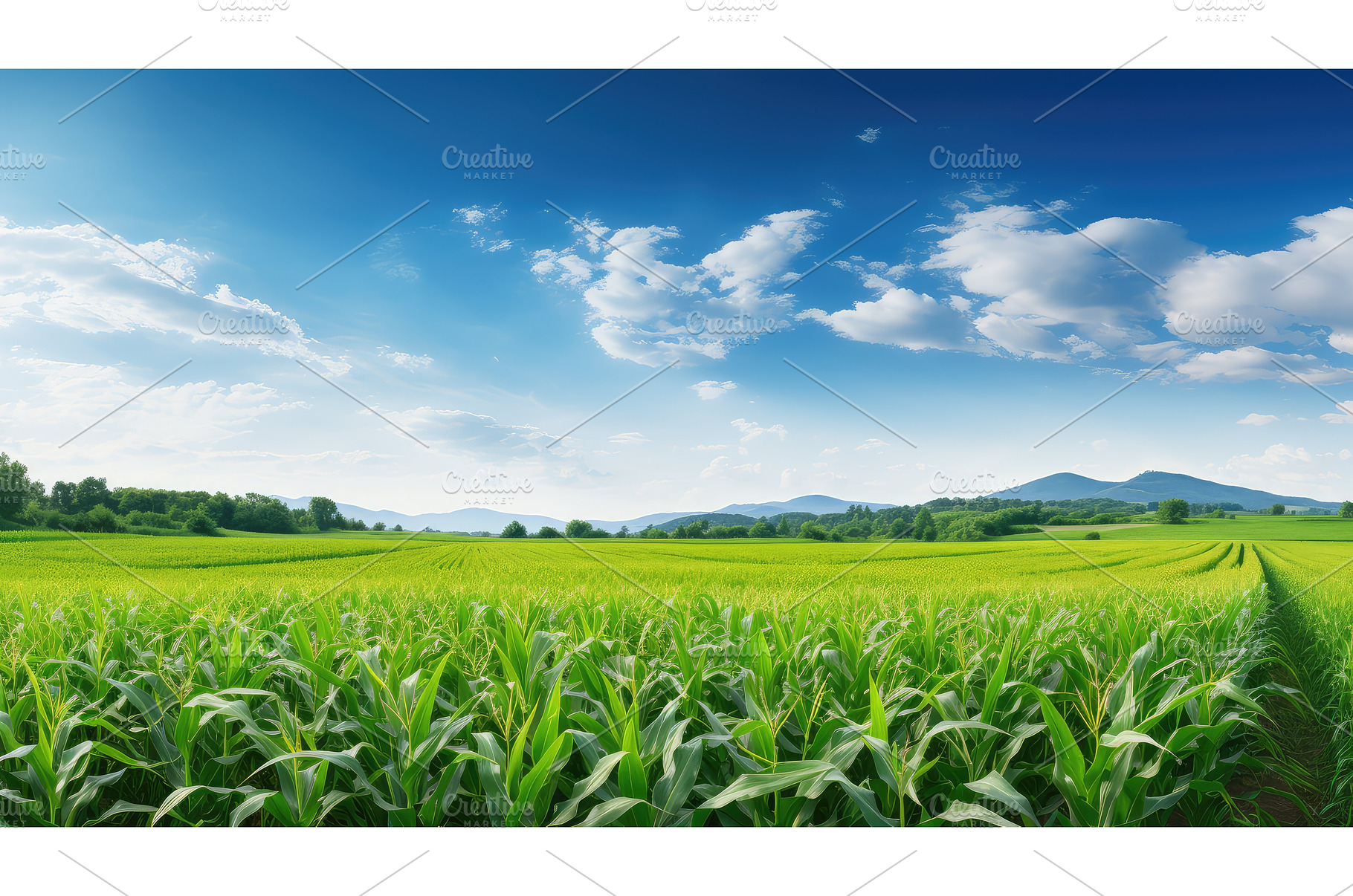 agriculture corn field panorama ai, an Animal Photo by pikepicture