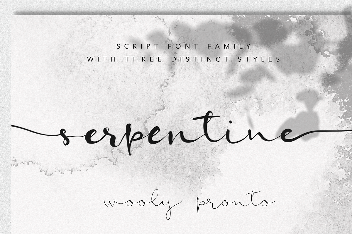 Serpentine Script Font Family, a Script Font by Wooly Pronto (Photo 1 of 8)