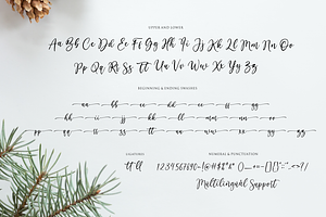 Winter Festival - Calligraphy Font