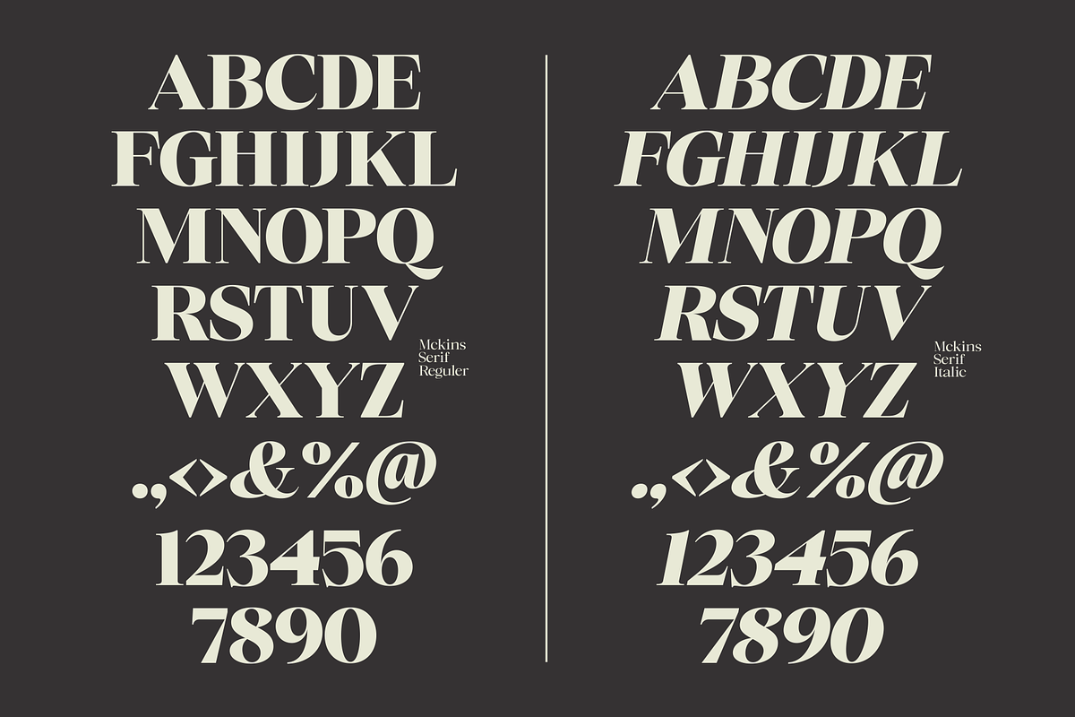 Mckins - Family Serif Font, a Serif Font by Marvadesign (Photo 6 of 9)