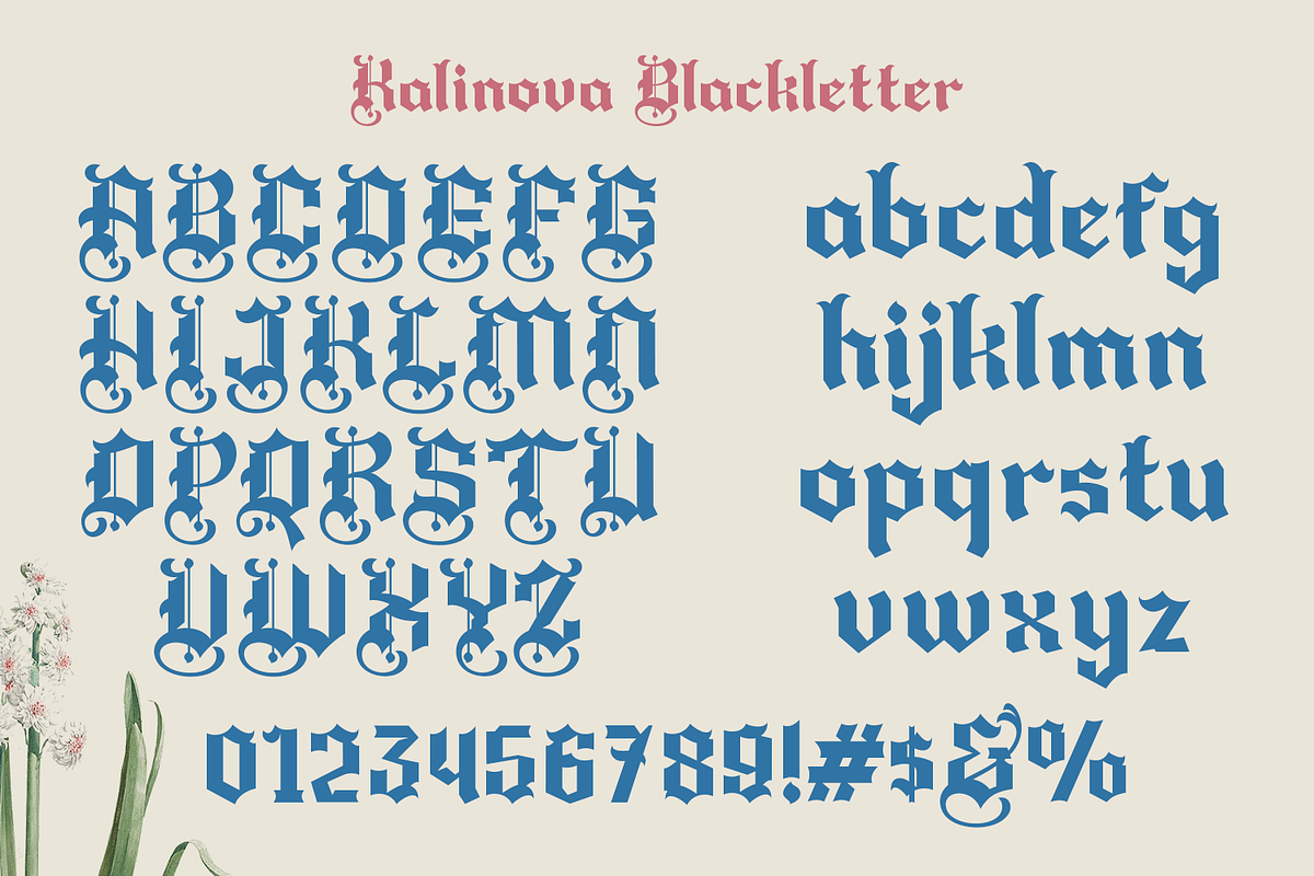 Kolinova Blackletter, a Blackletter Font by madeDeduk (Photo 2 of 9)