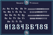 Alphabeer Typeface+Ornament, a Serif Font by PompoCo (Thumbnail 4 of 6)