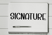 Sunday Bright, a Script Font by InermediaSTUDIO (Thumbnail 8 of 8)