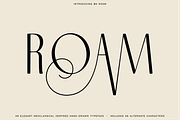 The Diverse Font Bundle, a Sans Serif Font by Bnick (Thumbnail 11 of 34)