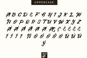 Metanoia - Fancy Font, a Script Font by Typevora Studio (Thumbnail 6 of 11)