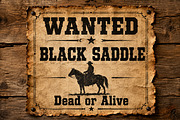 Black Saddle, a Slab Serif Font by Wow Magic (Thumbnail 7 of 7)