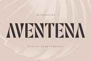 Aventena - Display Sans, a Sans Serif Font by Mokatype Studio (Thumbnail 1 of 11)