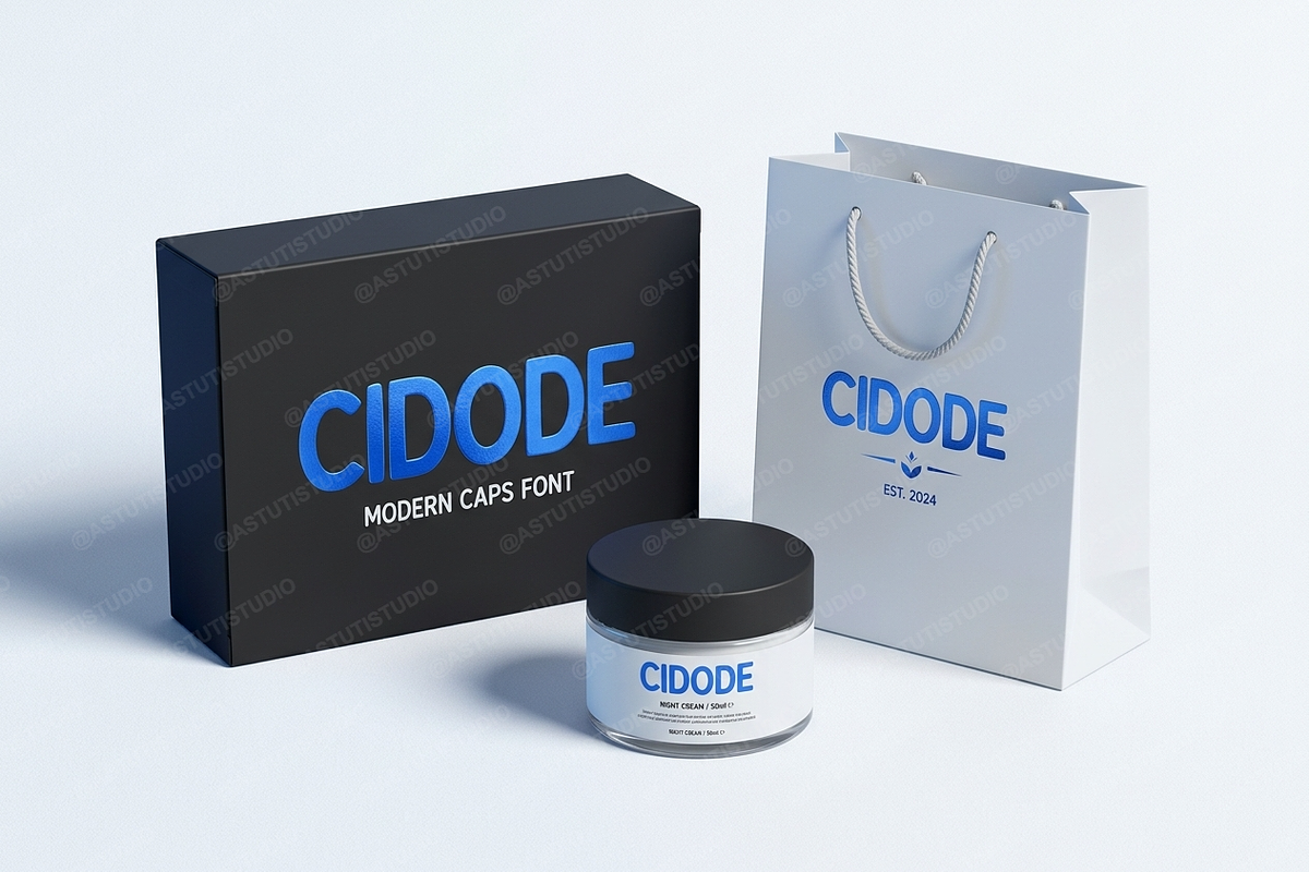 Cidode | Modern Elegant Serif, a Script Font by Astuti Studio (Photo 20 of 24)