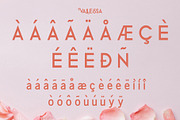 Vallessa, a Sans Serif Font by edcreative (Thumbnail 6 of 9)