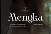 Mengka Elegant Serif Font, a Serif Font by Perfectype (Thumbnail 1 of 8)