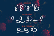 Maylina Script + Extras, a Script Font by yellowline (Thumbnail 3 of 7)
