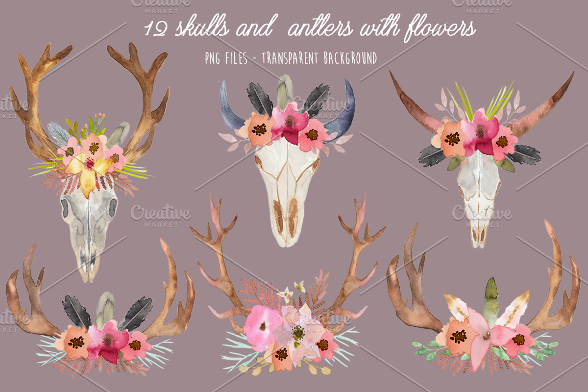 Wild Collection - Skulls and Antlers, a Decorative Illustration by MaraquelaStudio (Photo 4 of 10)
