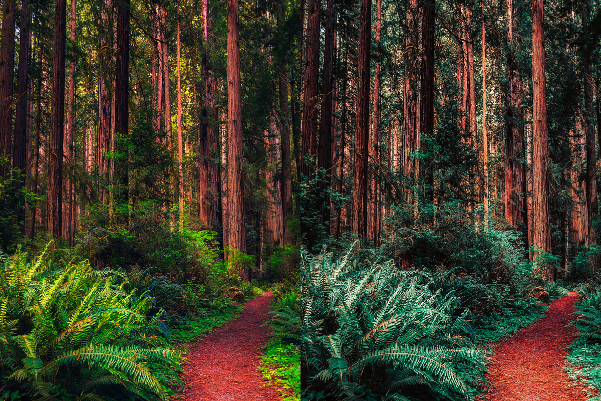 10 Forest Lightroom Presets, a Preset Add-On by RamsaGraphi (Photo 10 of 10)