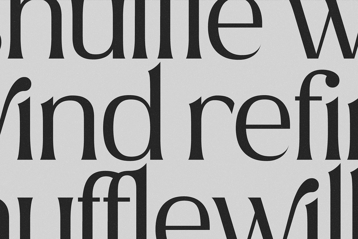 Carfield, a Serif Font by din-studio.com (Photo 4 of 11)