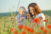 17 Poppie Flowers Photo Overlays preview 5