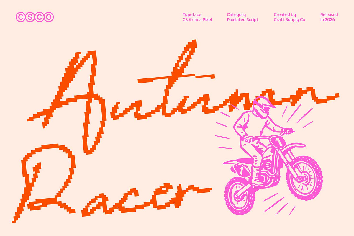 CS Ariana Pixel, a Script Font by Craft Supply Co. (Photo 6 of 8)