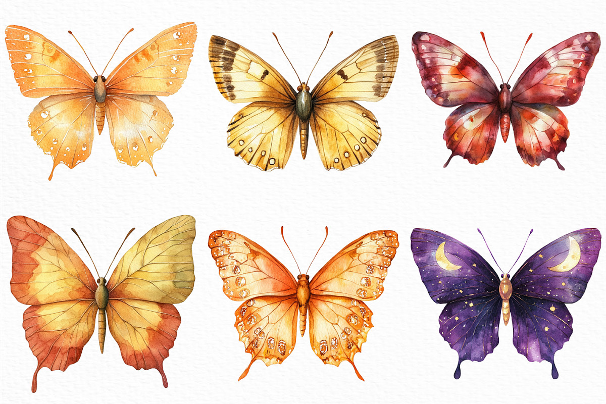 Watercolor Autumn butterflies PNG, an Illustration by Craft Nest (Photo 2 of 6)