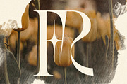 SLTF BOXROOM - Modern Serif Typeface, a Serif Font by SilverStag Type Foundry (Thumbnail 14 of 30)