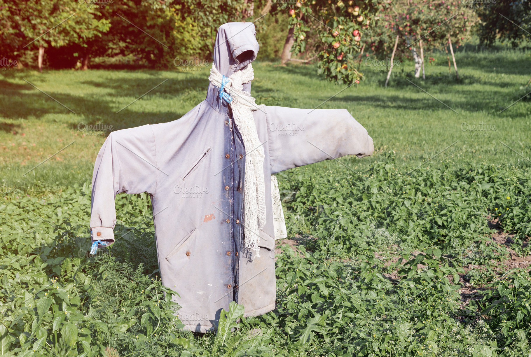 Garden scarecrow in the field, a Nature Photo by BOOCYS