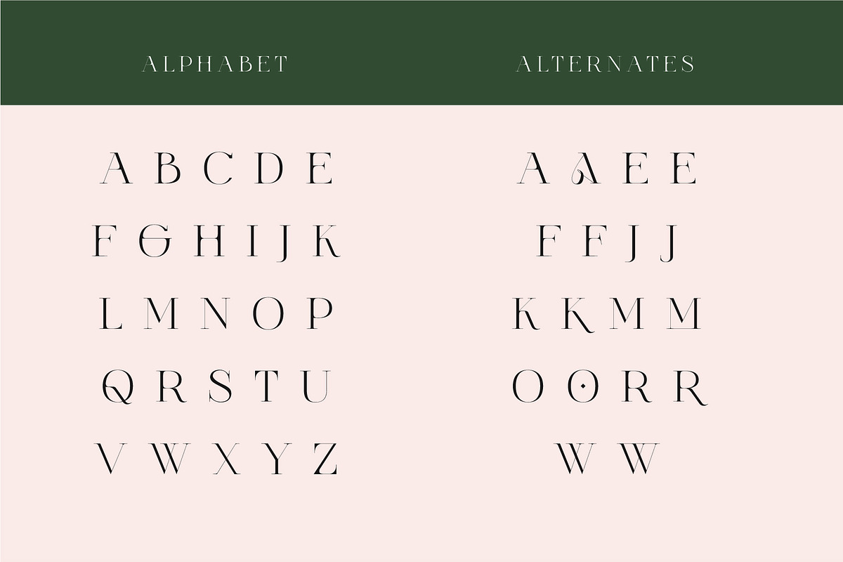 Vallura - Serif Display Font, a Sans Serif Font by Vesvocrea (Photo 6 of 9)