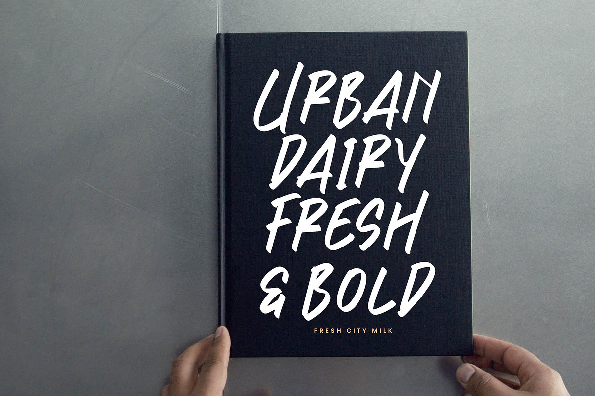 Brawler Knockout, a Handwritten Font by Integritype Studio (Photo 3 of 15)