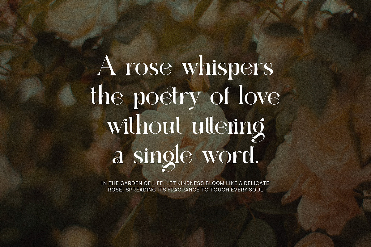Regkan Elegant Ligature Serif Font T, a Serif Font by Perfectype (Photo 5 of 6)