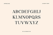 Paperboard Elegant Serif Font, a Serif Font by UICreative (Thumbnail 7 of 8)