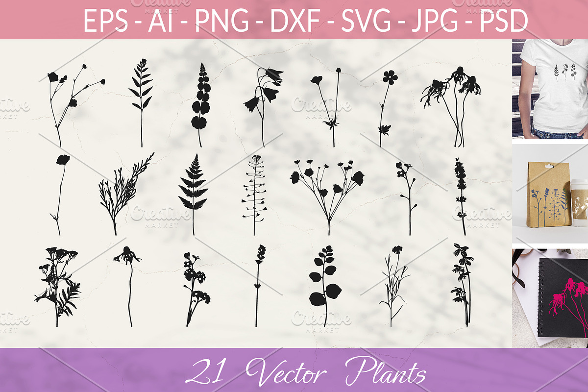 Botanical bundle - svg, png, a Decorative Illustration by Watercolor_Vector Graphic (Photo 1 of 26)