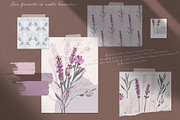 Noble lavender, a Decorative Illustration by LanaDzi (Thumbnail 3 of 10)
