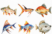 Watercolor Fishes Clipart, an Illustration by Craft Nest (Thumbnail 4 of 6)