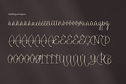 Alphiness | Handwritten Script Font, a Script Font by Denustudios (Thumbnail 14 of 15)