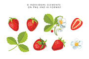 Vector set with delicious strawberri, a Background Graphic by natamastery (Thumbnail 2 of 4)