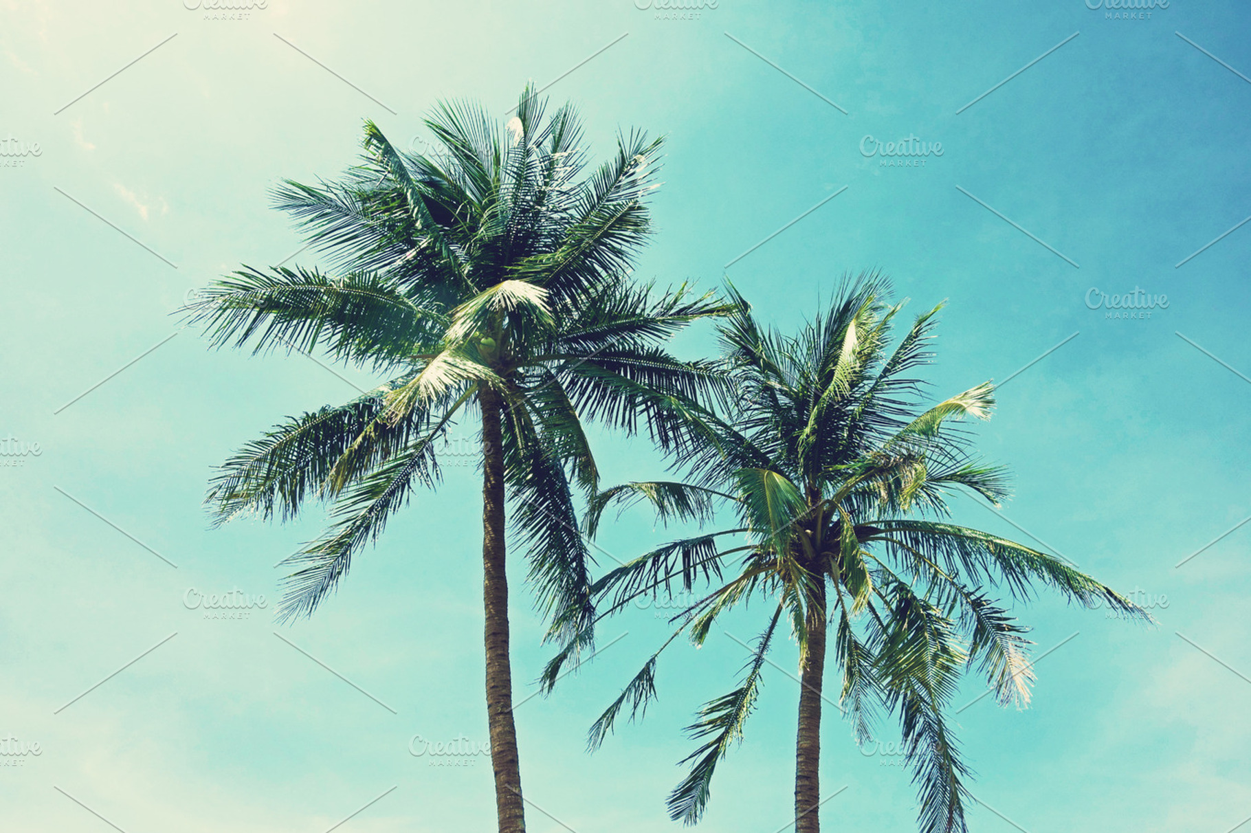 Palm Trees Featuring Sky Beach And Summer