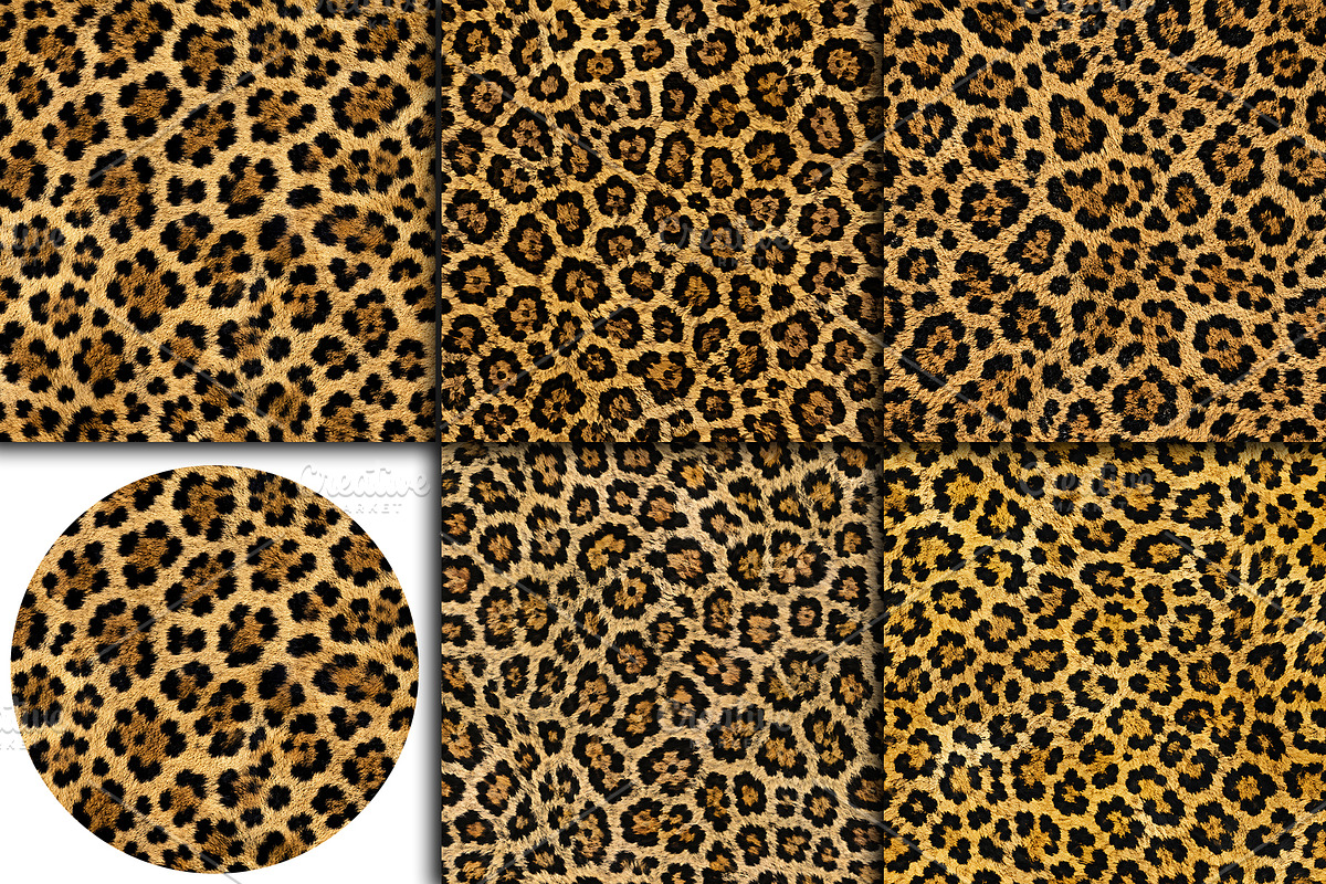 Realistic Leopard Print Fur Texture, a Pattern Graphic by Artonix (Photo 3 of 3)