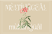Gaykin, a Font by Muksal Creative (Thumbnail 8 of 8)