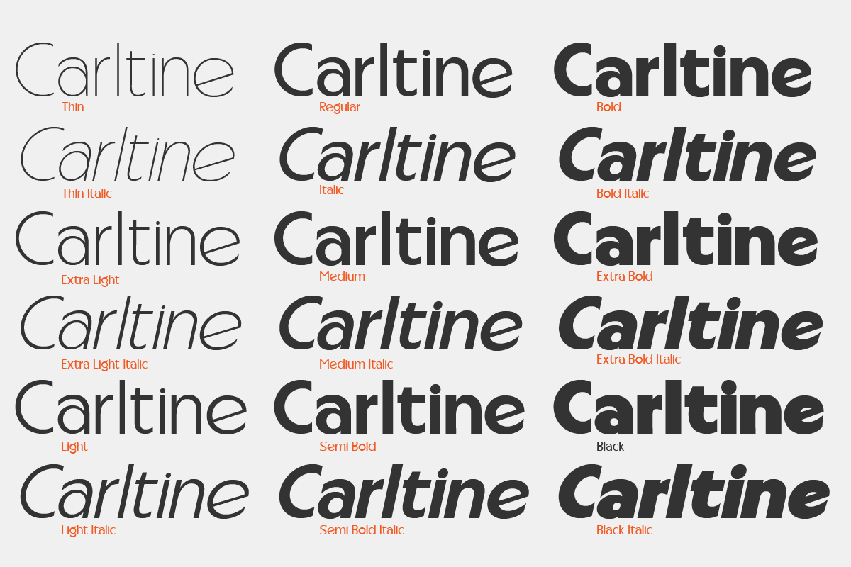 Carltine, a Sans Serif Font by Muksal Creative (Photo 2 of 10)