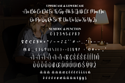 Sadnight | Script Font, a Handwritten Font by Scratchones (Thumbnail 7 of 8)