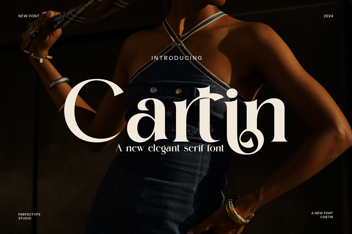 Cartin Elegant Serif Font, a Serif Font by Perfectype (Photo 1 of 8)