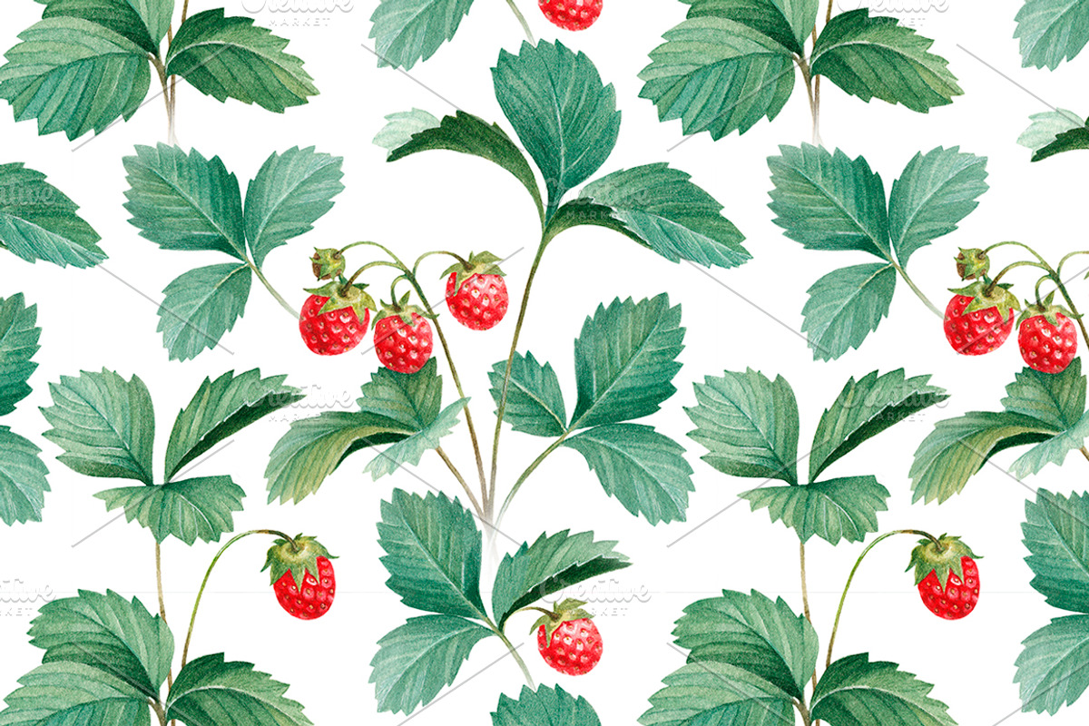 Watercolor berries kit, a Food Illustration by Sundra (Photo 2 of 11)