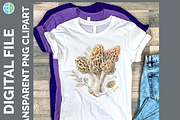 Mushroom Illustration Bundle, 35 PNG, a Decorative Illustration by Enliven Designs (Thumbnail 6 of 8)