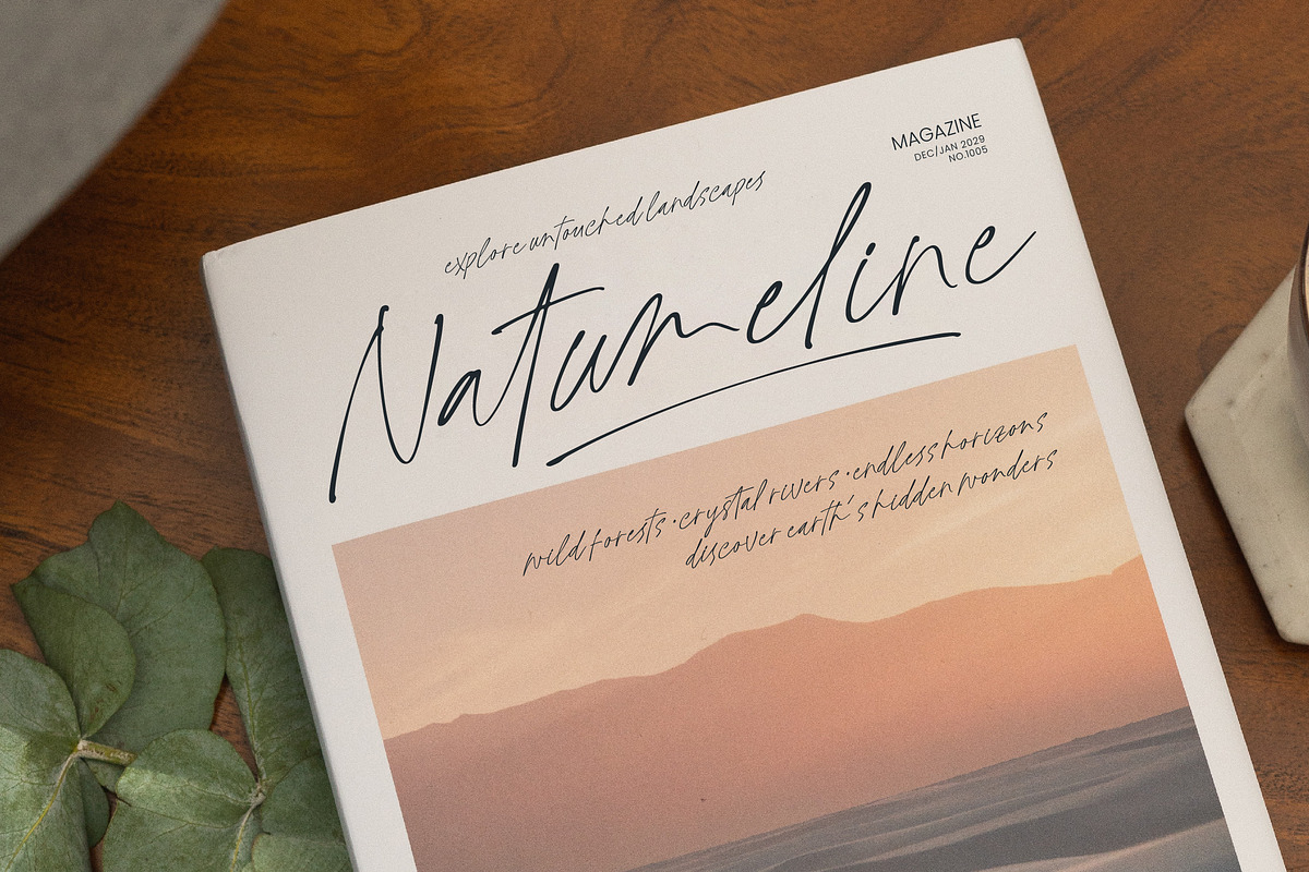 Nathing Still Stylish Calligraphy, a Script Font by Letterena Studios Script (Photo 3 of 10)